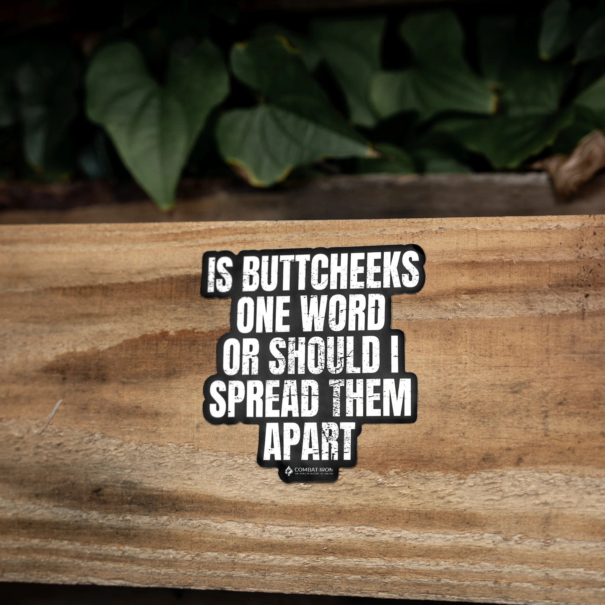 Is Buttcheeks One Word Or Should I Spread Them Apart Decal - Image 5